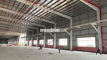 SIÊU PHẨM ĐẦU TƯ – NHÀ XƯỞNG KEM ĐẤT GIÁ TỐT TẠI CCN NAM DƯƠNG