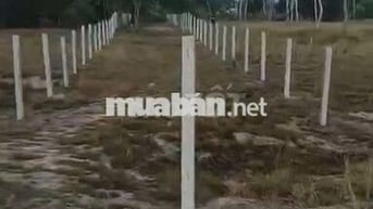 612m2 đất trồng cây hàng năm khác
