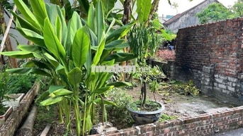 [CHÍNH CHỦ] Bán 47m² full thổ cư Lộc Hà, Đông Anh. Gần cầu Tứ Liên