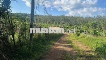 Bán đất tại Thôn 1, Đoàn Kết, Huyện Bù Đăng, 6,2 tỷ, 7584 m2