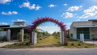 Cắt Lỗ Lô đất MT siêu đẹp trong tuần này