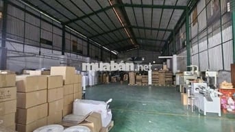 Cho thuê nhà xưởng 800m2 Hóc Môn container 24/24 kinh doanh đa ngành