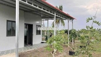 Cần bán gấp nhà vườn gấp trong ngày. Tổng diện tích cái Vường 1000m2.