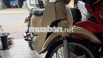 Honda Cup 50 Trắng ngà