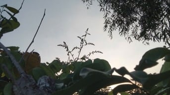 Bán Đất Đường B  Khu Sông Đà Hiệp Bình