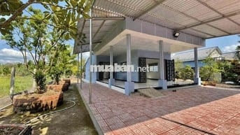 🔥 CHÍNH CHỦ BÁN GẤP: Hơn 500m² ĐẤT VƯỜN  – CHỈ 510 TRIỆU!