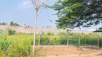 Đất rẻ sát chợ Trừ Văn Thố,Bàu Bàng 300m2/580Triệu đầu tư,tích sản