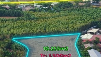 🚀 Hiếm Có! 10.225m² Ngay Sát KCN Đất Đỏ, Sở Hữu 3.000m² SKC Lâu Dài, 