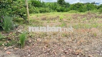 CẦN BÁN ĐẤT VỊ TRÍ ĐẸP PHƯỜNG TÂN PHÚ – THÀNH PHỐ ĐỒNG NAI