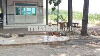 420Tr – HƠN 500m² CÓ SẴN THỔ CƯ