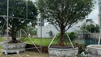 150m2/12,4 tỷ.Đất đường Nguyễn Cơ Thạch. Ngang 6m.kẹp cống hông.