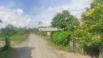 ĐẤT ĐẸP 364m² FULL THỔ CƯ – NGANG 7M HIẾM CÓ – GIÁ CHỈ 2TY690