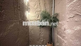 Căn Hộ Thiết Kế Sân Vườn ... Ngay Vạn Hạnh Mall ☘️☘️