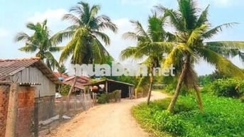 540m2 đất vườn view kênh 10 x 54m chỉ 339 tr