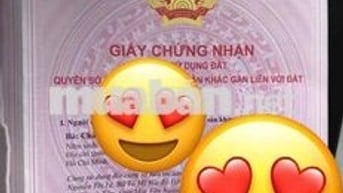 Bán nhà phố liền kề SHR đsh HXH 4,5 tầng 3PN 3WC