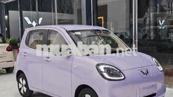 Xe ô tô điện Wuling macaron