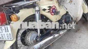 Honda Cub màu Kem