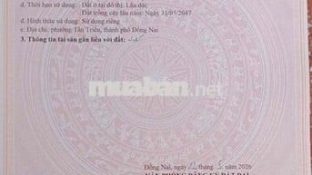 BÁN ĐẤT MẶT TIỀN ĐƯỜNG TÂN TRIỀU, PHƯỜNG TÂN TRIỀU
