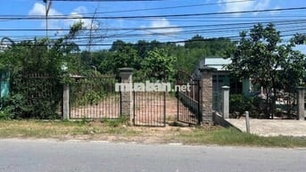 Cần bán gấp lô đất đường nhựa 30m Tân An Hội 436,8 m2 950 triêu 