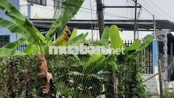 bán đất mặt tiền đường nhựa xã bình an thủ thừa  dt (5 x 40 = 200m2)