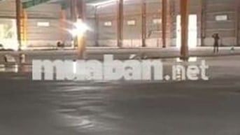xưởng cho thuê trung lập hạ củ Chi