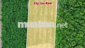 Truông Mít- DMC dt siêu to 2400m2 sẵn 195m2 thổ đủ tiện ích nhỉnh 900