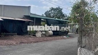 ĐẤT CỦ CHI 136m² – SỔ HỒNG RIÊNG – ĐƯỜNG NHỰA 6M – DÂN CƯ HIỆN