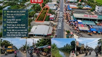 BÁN GẤP ĐẤT MẶT TIỀN TỈNH LỘ 909 – LONG HỒ 