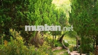 🍒 Nhượng mảnh đất hơn 1070m2 Tại Trung Tâm Tp. Bảo lộc