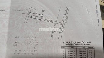 Cần bán nhà đường thành niên huyện bình chánh, sổ hồng pháp lý đầy đủ