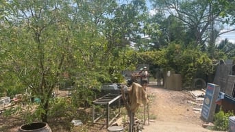 🏡 CHÍNH CHỦ  - CẦN BÁN - MT  XE HƠI - GẦN LÊ VĂN LƯƠNG - CHỈ 7.X TI 
