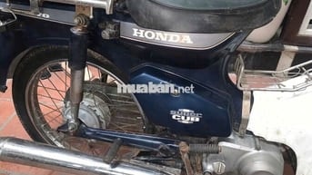 Cúp nhật 8270 nguyên bản
