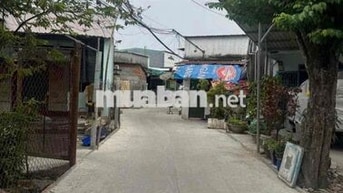 🔥 ĐẤT HẺM 226 ĐƯỜNG 8 – LINH XUÂN, TP THỦ ĐỨC | 53.4–69.9m² | 3.53–4.4