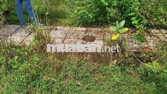 Bán gấp đất KDC Long Cang, Cần Đước, DT: 130m2, Giá: 700tr, SHR