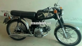 Honda Thể thao màu Đen