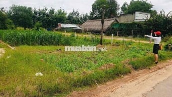 Bán đất nông nghiệp trong đó có 100m thổ cứ 💰 2 Tỷ 500 💰