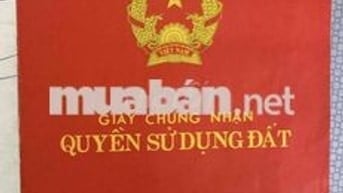 Cần bán 2 lô đất liền kề ở Bình Chánh