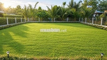 Đất Đẹp 20x20 400m2 Gia Lộc Trảng Bàng