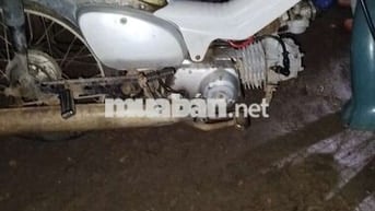 Xe máy Cub 81 Xám Đã sử dụng