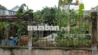 🇻🇳🇻🇳. ĐẤT THỔ CƯ, SHR 10 X24 HẬU LÂN BÀ ĐIỂM