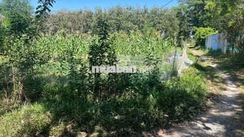Đất rẻ nhất khu vực An Bình, Châu Thành, 5*33 CLN lô gốc, qh thổ cư