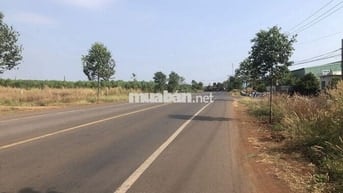 Đất mặt tiền đường Đoàn Trung Còn gần KCN Đất Đỏ, shr thổ cư