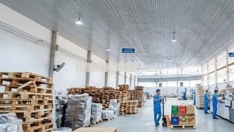 Cho thuê kho Nguyễn Hữu Thọ – 1.500m2 – sàn epoxy – container 24/7