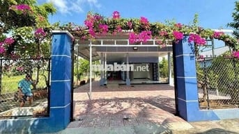 Chính chủ cần bán gấp đất để xoay sở