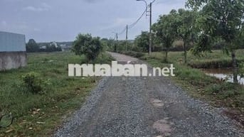 Cần Bán Đất Tân Thạnh Đông Dt: 60x93.= 5012 m2. Giá thương lượng mạnh