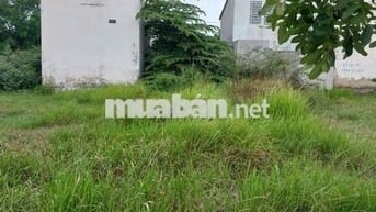 BÁN ĐẤT KDC CÁT TƯỜNG PHÚ SINH  HƯỚNG BÂC MÁT MẺ