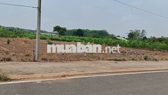 Đất cổng kcn minh hưng còn mấy lô đẹp