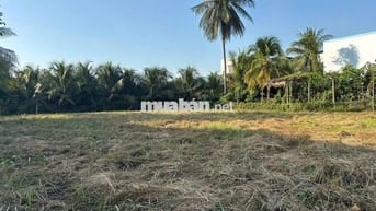 🏡 ĐẤT XÂY NHÀ GẦN AEON MALL MỸ THO – CHỈ 899 TRIỆU