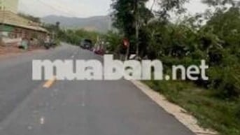 BÁN ĐẤT VƯỜN MẶT TIỀN ĐT609 – 2200m² – CÓ 200m² ĐẤT Ở   Vị trí đẹp
