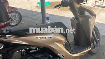 Honda Vision Thể thao Vàng đồng